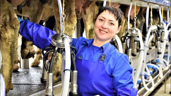 На Кубани в 2022 году получили 1,6 млн тонн молока