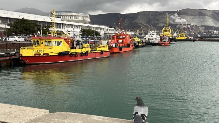 В Новороссийске люди жалуются на компанию, которая сливает вредные отходы в реку