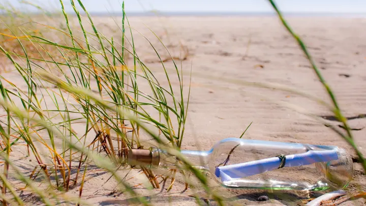 Послание из прошлого: бутылка с письмом пересекла Атлантику и нашла адресата спустя 13 лет