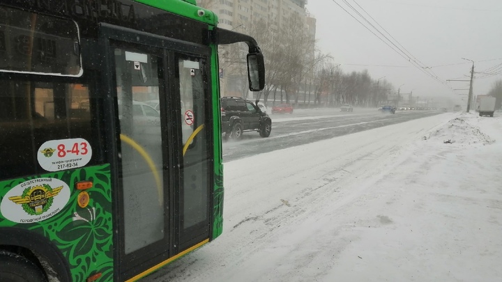 В Челябинске водитель автобуса высадил мальчика и девочку на мороз