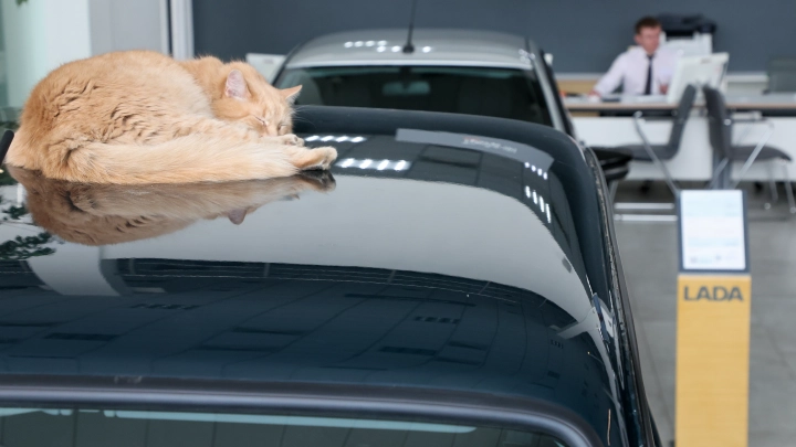 Утечка данных 32 тысяч владельцев Lada: АвтоВАЗ предупредил о мошенниках