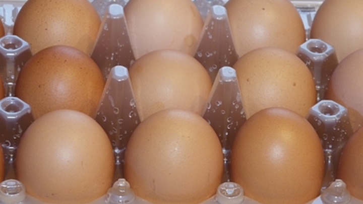 Опасный завтрак: Техасские ученые подтвердили вред яиц. Но только в одном случае