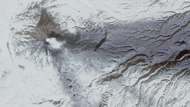 Чёрное небо и белые деревья: Очевидцы показали последствия пеплопада на Камчатке