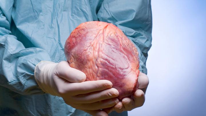 Это судьба? Выжившее в катастрофе донорское сердце уронил споткнувшийся врач