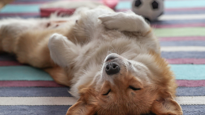 Сон с четверга на пятницу: влияние планет, значения