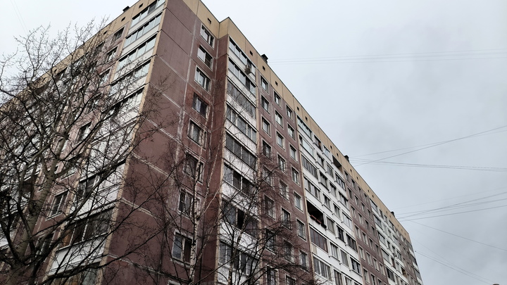 Затопленный нечистотами дом в Чехове признали пригодным для проживания