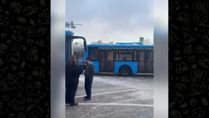 Пассажиры идут пешком: в Чертаново застряли автобусы из-за дорожного инцидента