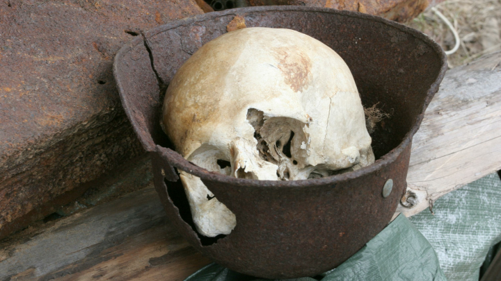 Генетики подтвердили личность убитого в 1272 году герцога из Рюриковичей