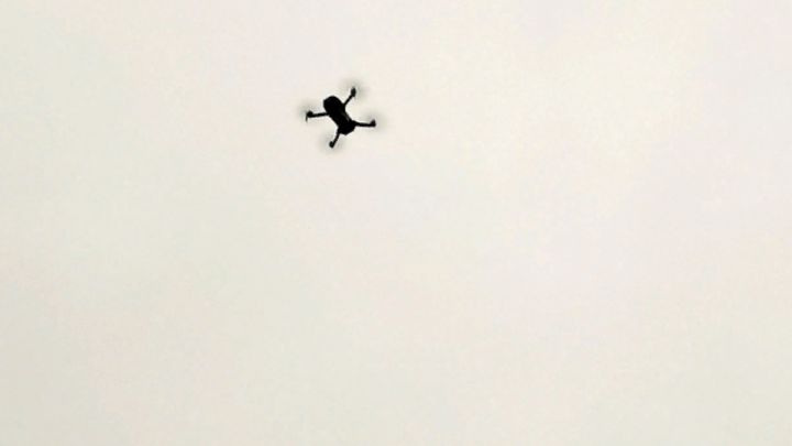 Рой Гераней уже на подлёте: На Украине бьют тревогу из-за третьей волны