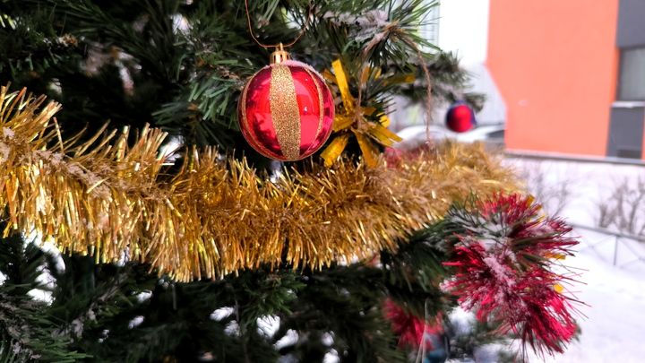 Новый год под запретом: Мигранты взбунтовались против ёлок. И это не шутка