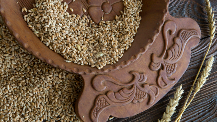 Теракт Украины в Крыму нарушил гарантии Киева: Зерновая сделка под большим вопросом - Минобороны