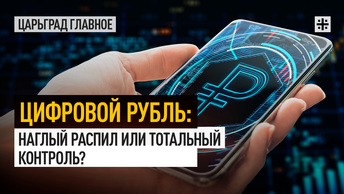 Цифровой рубль: наглый распил или тотальный контроль?