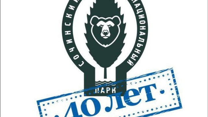 В Национальном парке Сочи обнаружили на дереве засаду браконьера