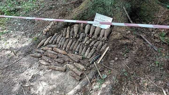 В лесах под Рузой нашли сразу 70 снарядов и мин времен Великой Отечественной