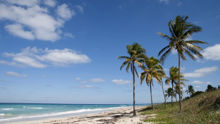 Русские туристы отравились протухшими креветками и рыбой в дорогом отеле на Кубе - источник