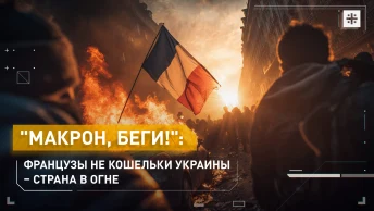 Макрон, беги!: Французы не кошельки Украины – страна в огне