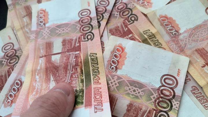 Главу племзавода задержали в Шереметьеве с пачками денег: Пытался нелегально провезти через границу наличные