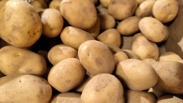 Отравились десятки человек: В Дагестане в больницу попали 15 детей