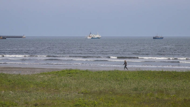 Японцы получили пас от Путина: Что с американскими ракетами у границ России?