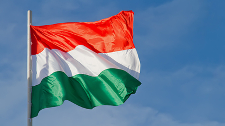 Венгрия отказалась предоставлять Украине оружие, чтобы защитить своих граждан