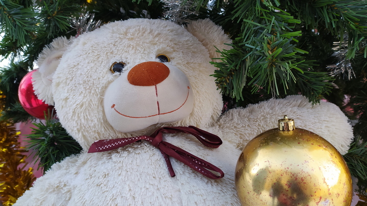 Праздник состоится!: Военкор показал новогоднюю ель на линии фронта в Донбассе