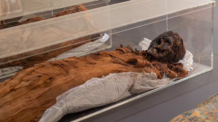 Учёные воссоздали образ самого старого человека, жившего в Древнем Египте