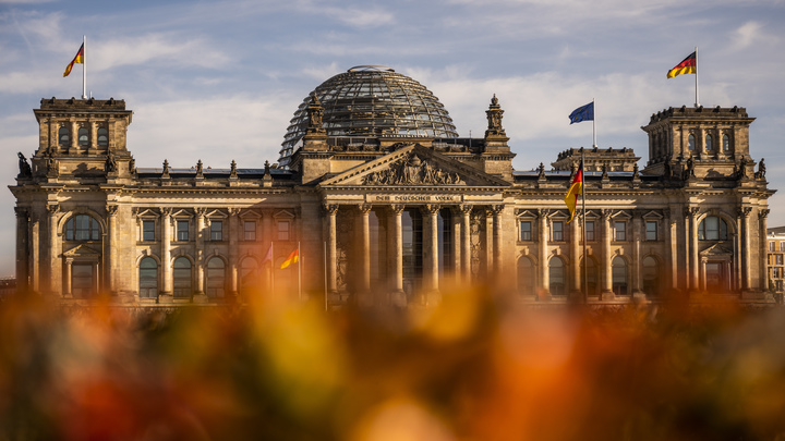 Встают дыбом волосы: немецкому депутату, потребовавшему поставок танков, рассказали о пацифизме