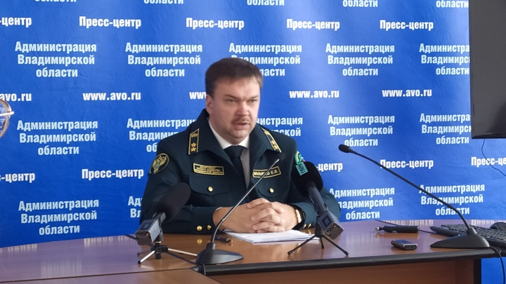 Главный лесник Владимирской области: «Трасса М-12 не оставит регион без лесов»