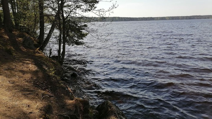 Новая напасть: эксперты объяснили, как не подцепить утиных клещей во время купания