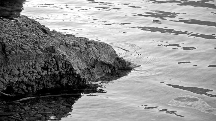 Одного из пропавших в Приморье детей нашли погибшим