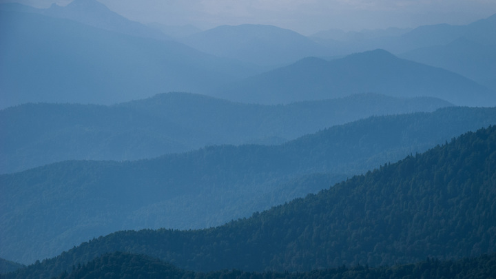 Дворец Путина записали в достопримечательности Геленджика