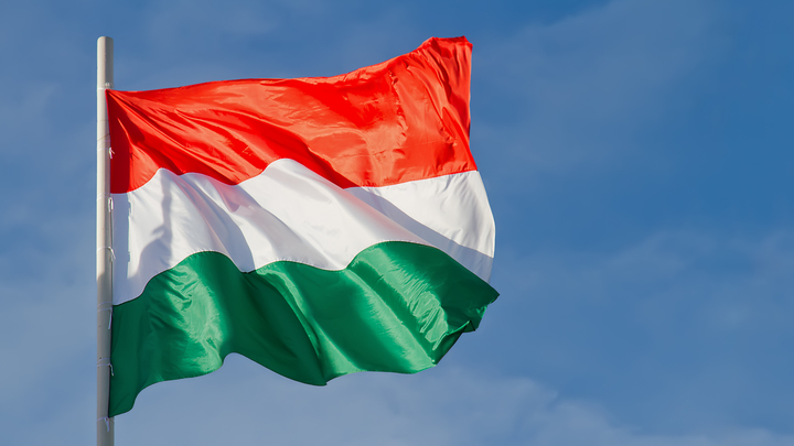 Венгрия введёт режим ЧП из-за ситуации на Украине