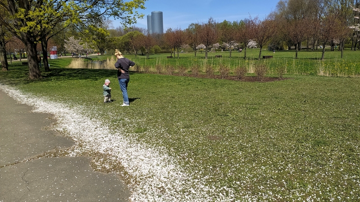 Советы аллергикам 2023: как облегчить состояние больного