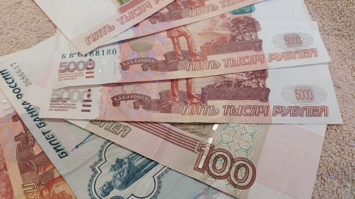 Новосибирской области отправят дополнительные 36 млн рублей на выплаты по соцконтрактам