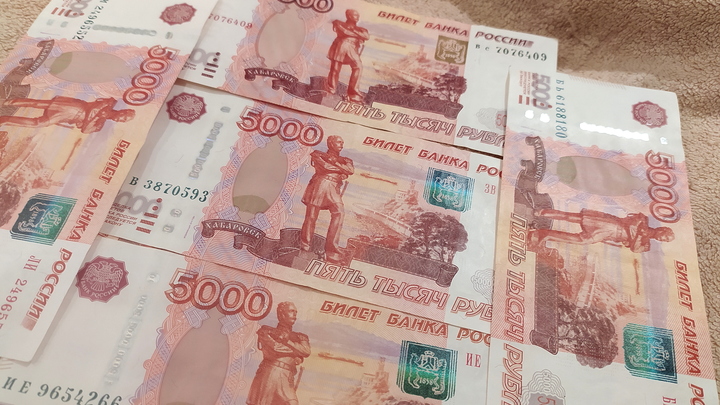 В Новосибирской области мобилизованные начнут получать выплаты по 100 тысяч с 13 октября