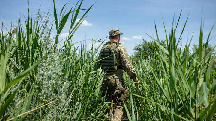Военные ВСУ пожаловались, что их бросили на фронт без еды, воды и оружия: “Дали 30 минут”