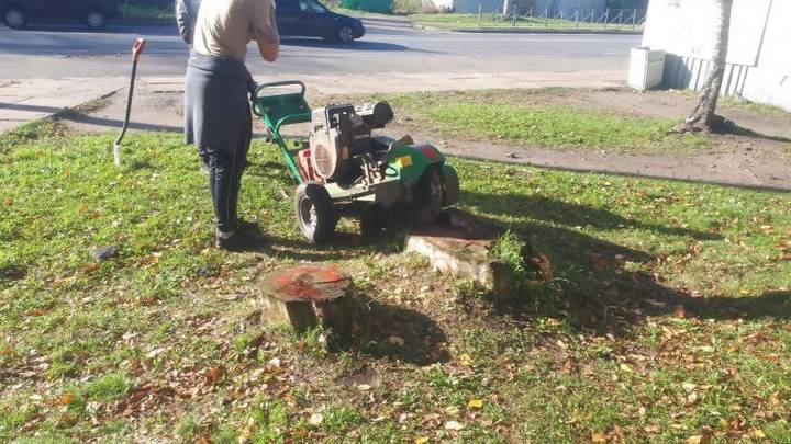 В округе Варавино-Фактория положили начало преображению улиц