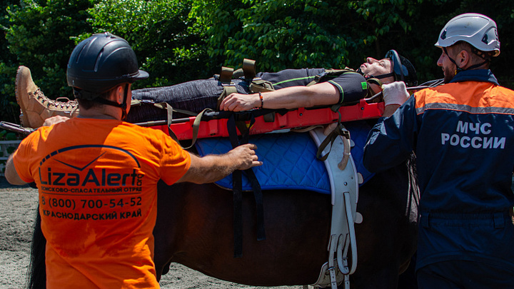 В горах Сочи экстренно сел частный вертолет