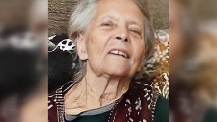 В Ростовской области без вести пропала 84-летняя бабушка