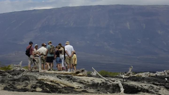 Пенсионерку из Австралии потеряли во время путешествия на круизном лайнере
