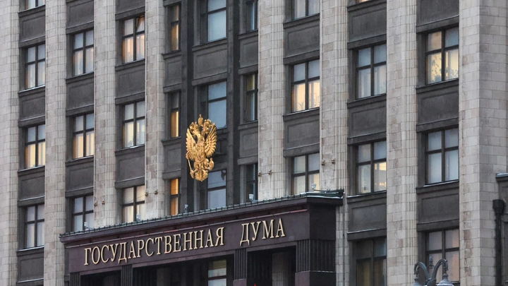 В Госдуме России призвали маркировать продукты с содержанием насекомых