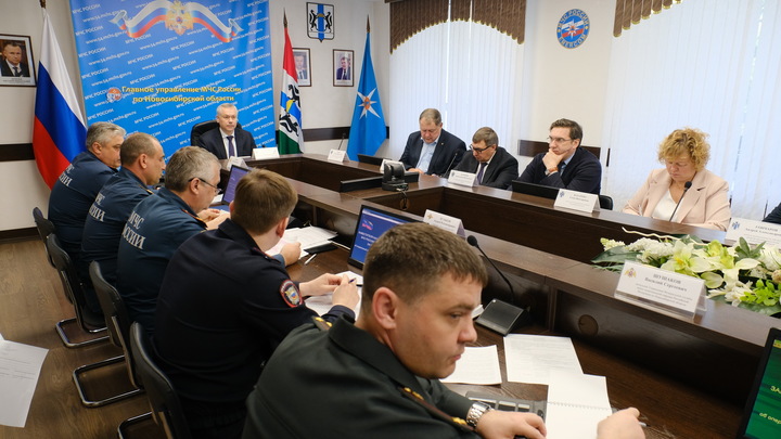 Губернатор Травников поручил усилить работу по борьбе с поджигателями и спасению утопающих