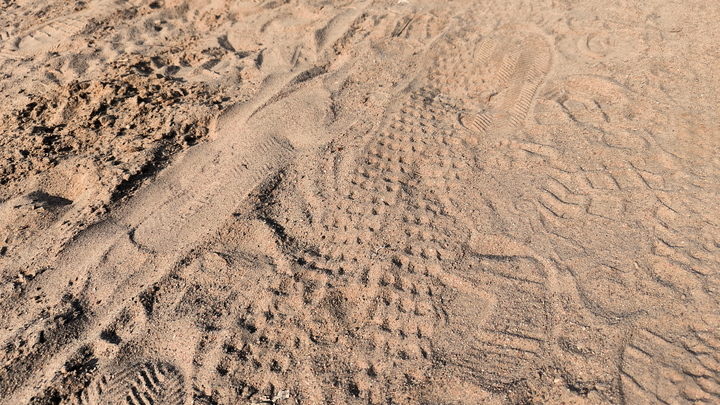 Бойцовская собака в Нижнем Тагиле напала на 10-летнего мальчика на пляже