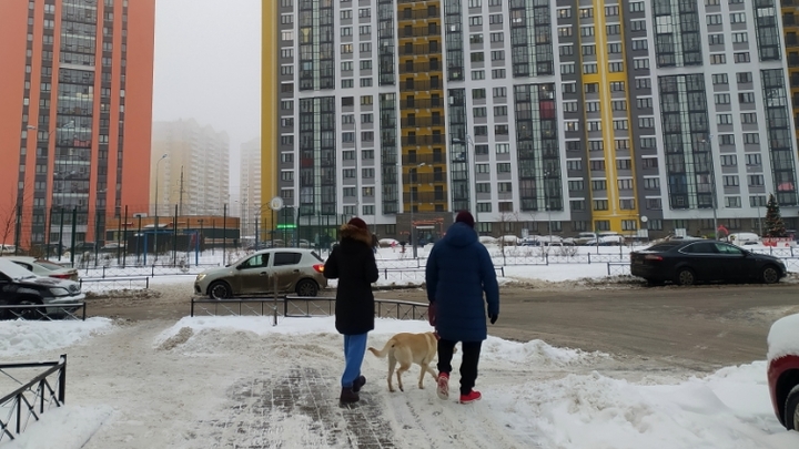 В Москве хозяйка собак и её ухажер-южанин устроили девушке расправу за замечание