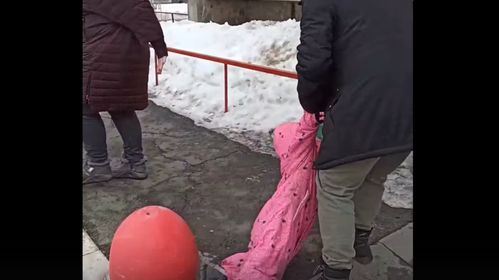 Жители Челябинска требуют наказать клиентку КБ, что устроила драку при дочке