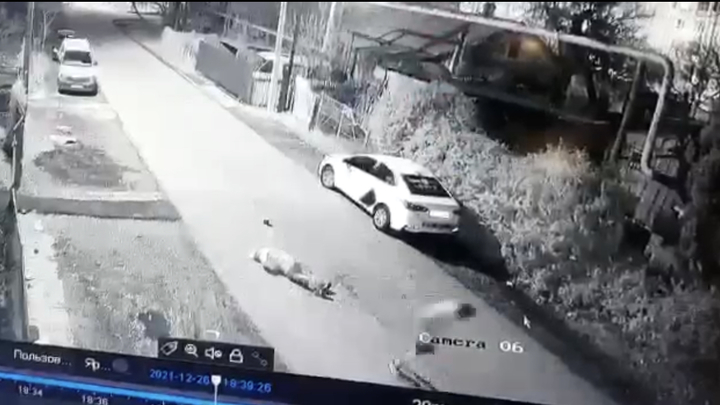 В Краснодаре грабитель напал с кирпичом на пенсионерку ради 600 рублей