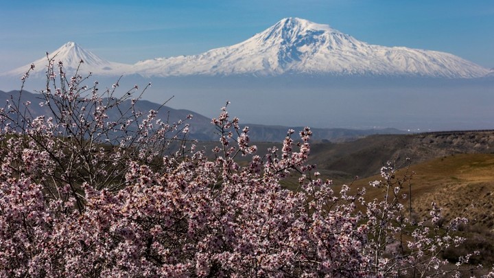 Коньяк уже не коньяк: Почти весь алкоголь из Армении оказался опасным
