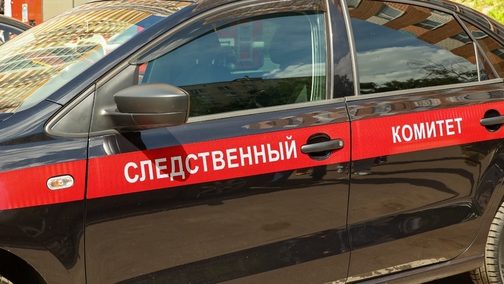 Бастрыкин потребовал доклад по делу о травмировании девочки в нижегородском парке Швейцария