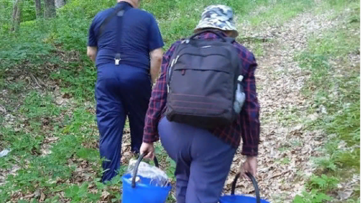 Под Горячим Ключом спасатели вывели из леса заблудившихся грибников