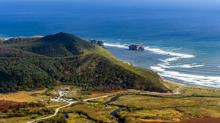Японцев выгоняют с Сахалина. Токио выясняет, чем это грозит